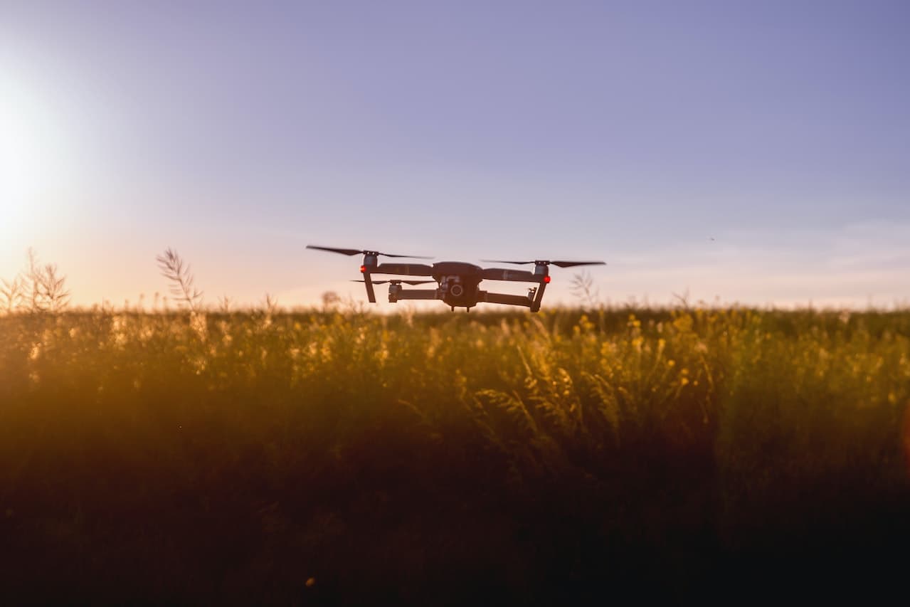 L'agriculture moderne au Sénégal : les nouvelles techniques d'optimisation pour une production plus efficace